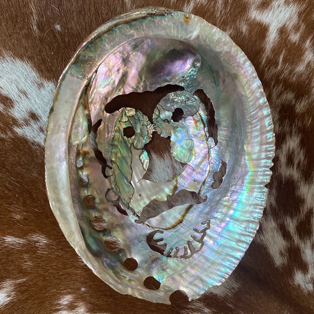 Abalone Shell π¦β€οΈπ¦ - Picture 10 of 10